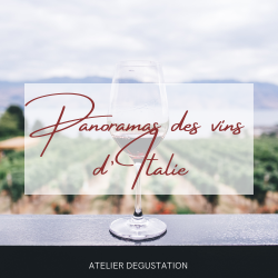 Panorama des vins d'Italie