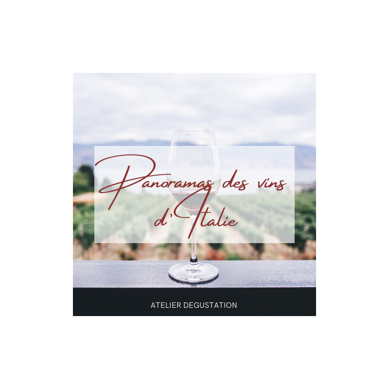 Panorama des vins d'Italie