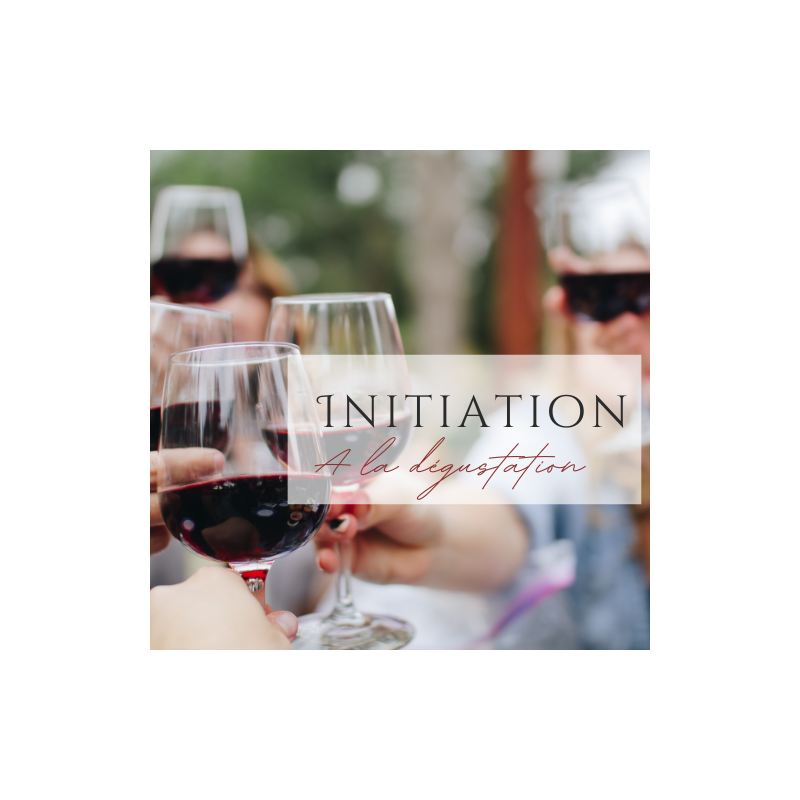 Initiation à la dégustation